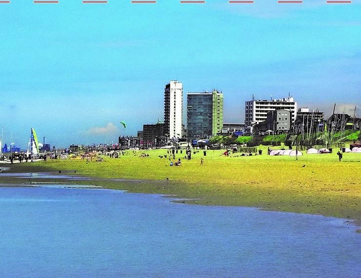Amsterdam Beach Apartment Zandvoort Exteriör bild